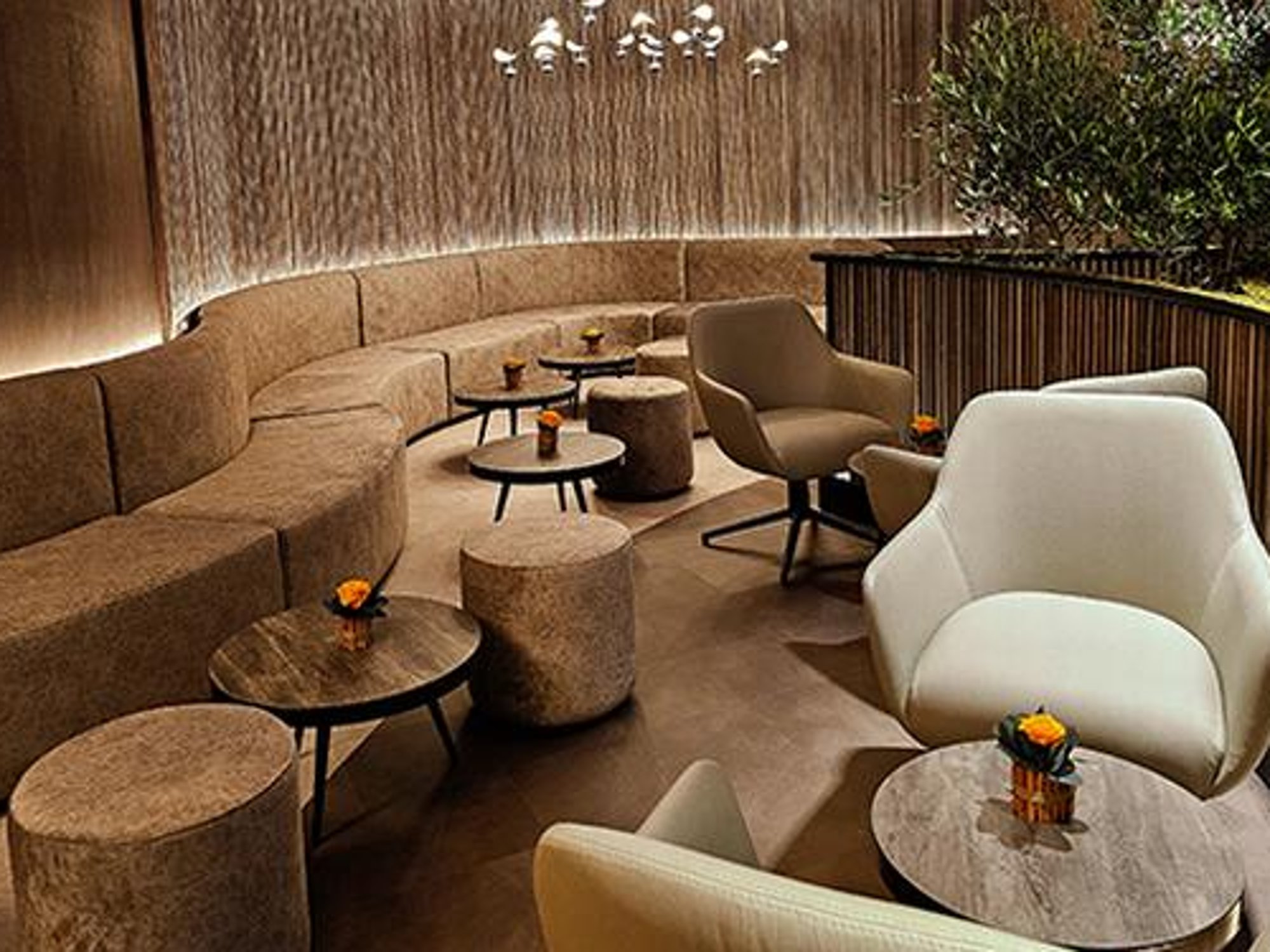 #5 of 5 images of Scanderbeg VIP Lounge