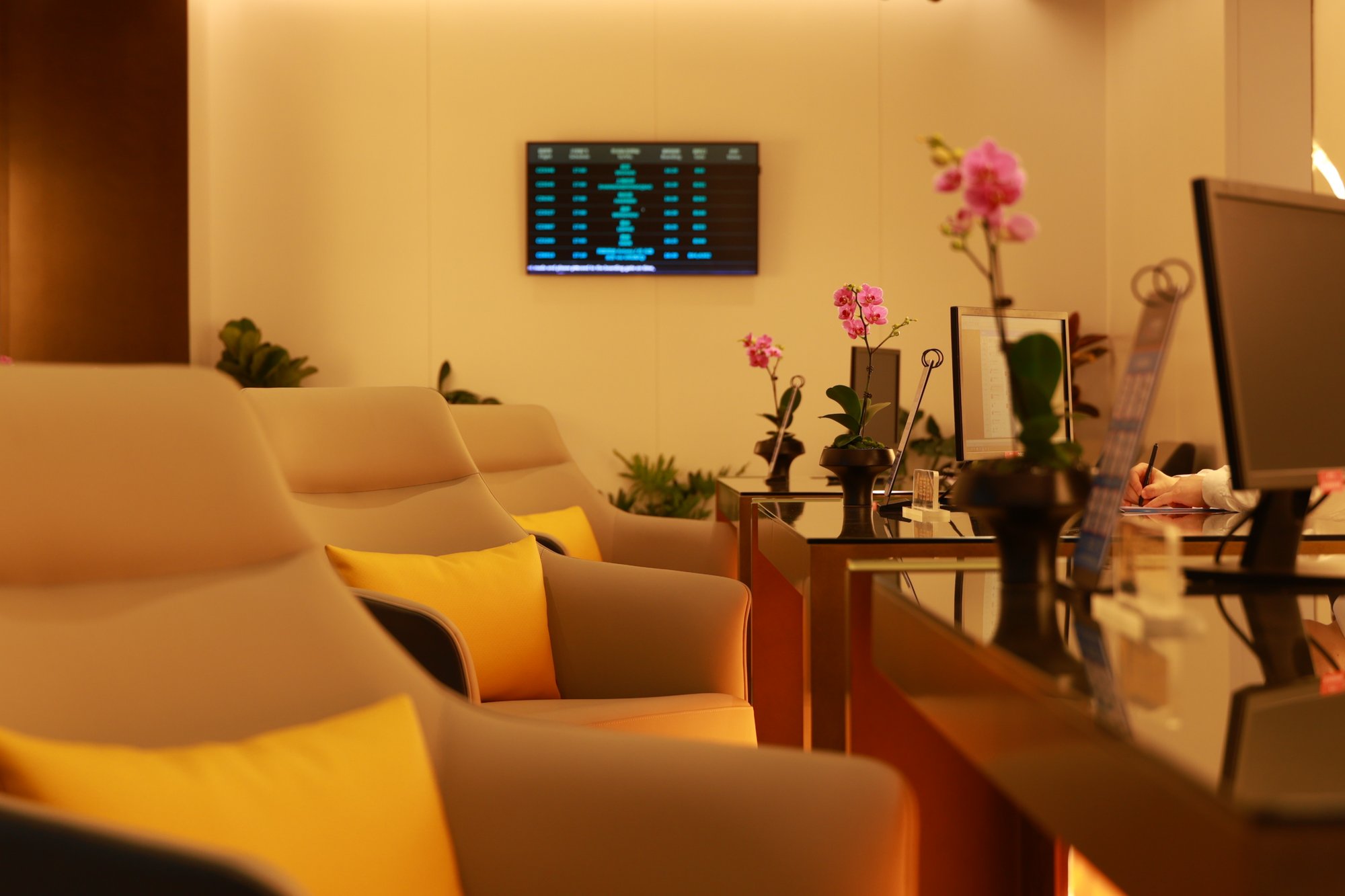 #2 of 3 images of China Southern VIP Lounge