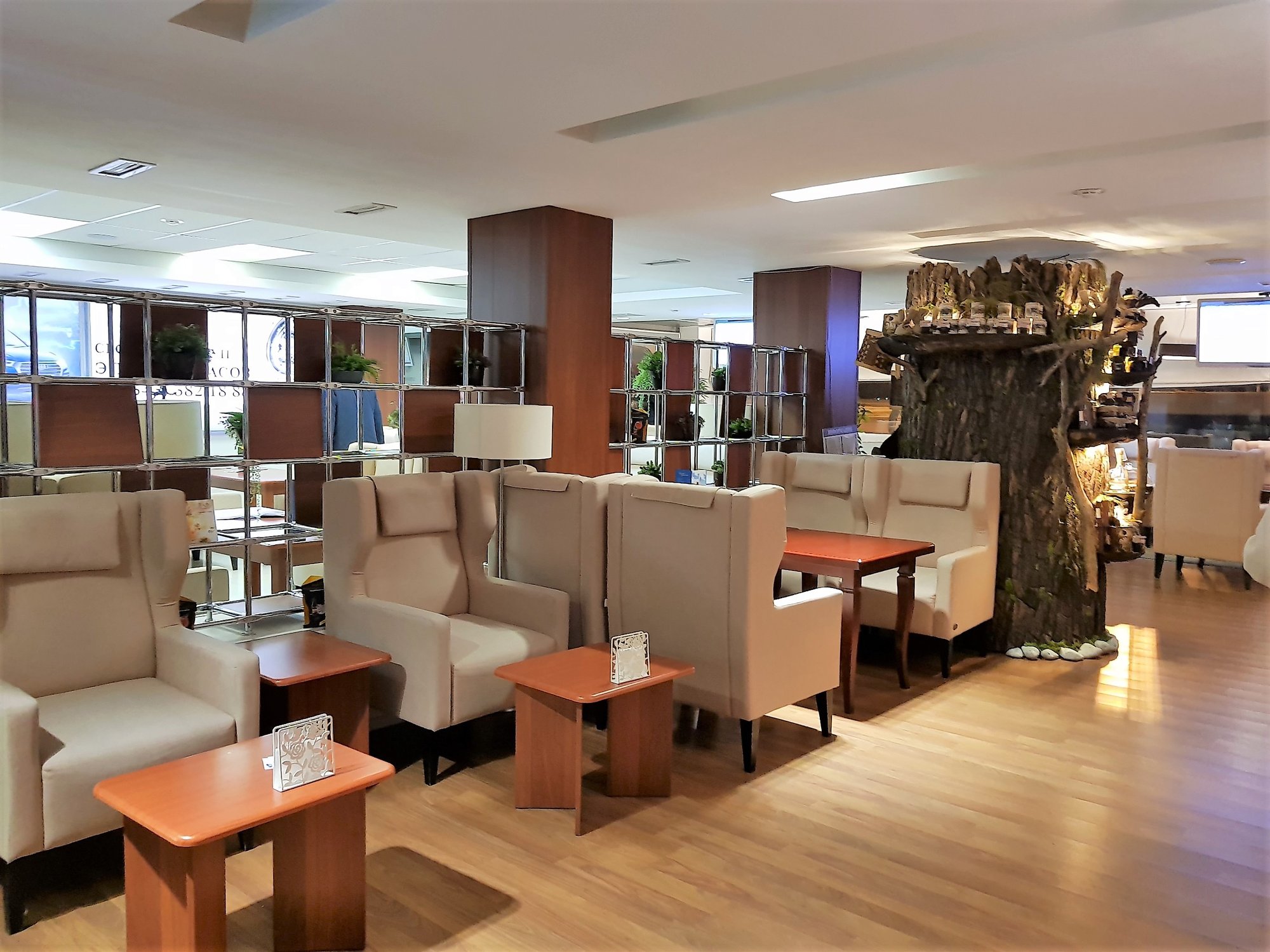 #2 of 5 images of Domestic Business Lounge