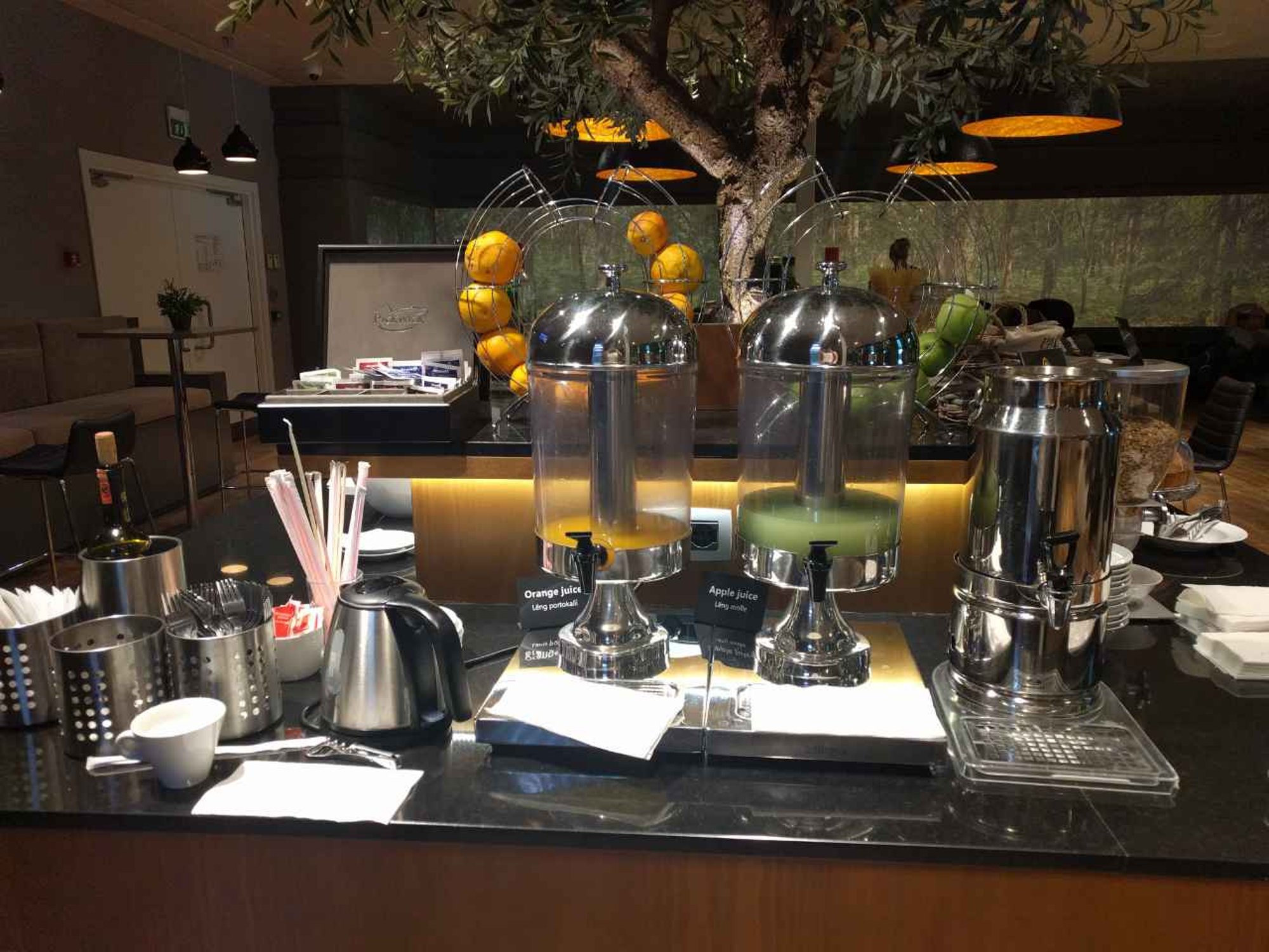 #3 of 5 images of Business Lounge (Temporarily Closed)