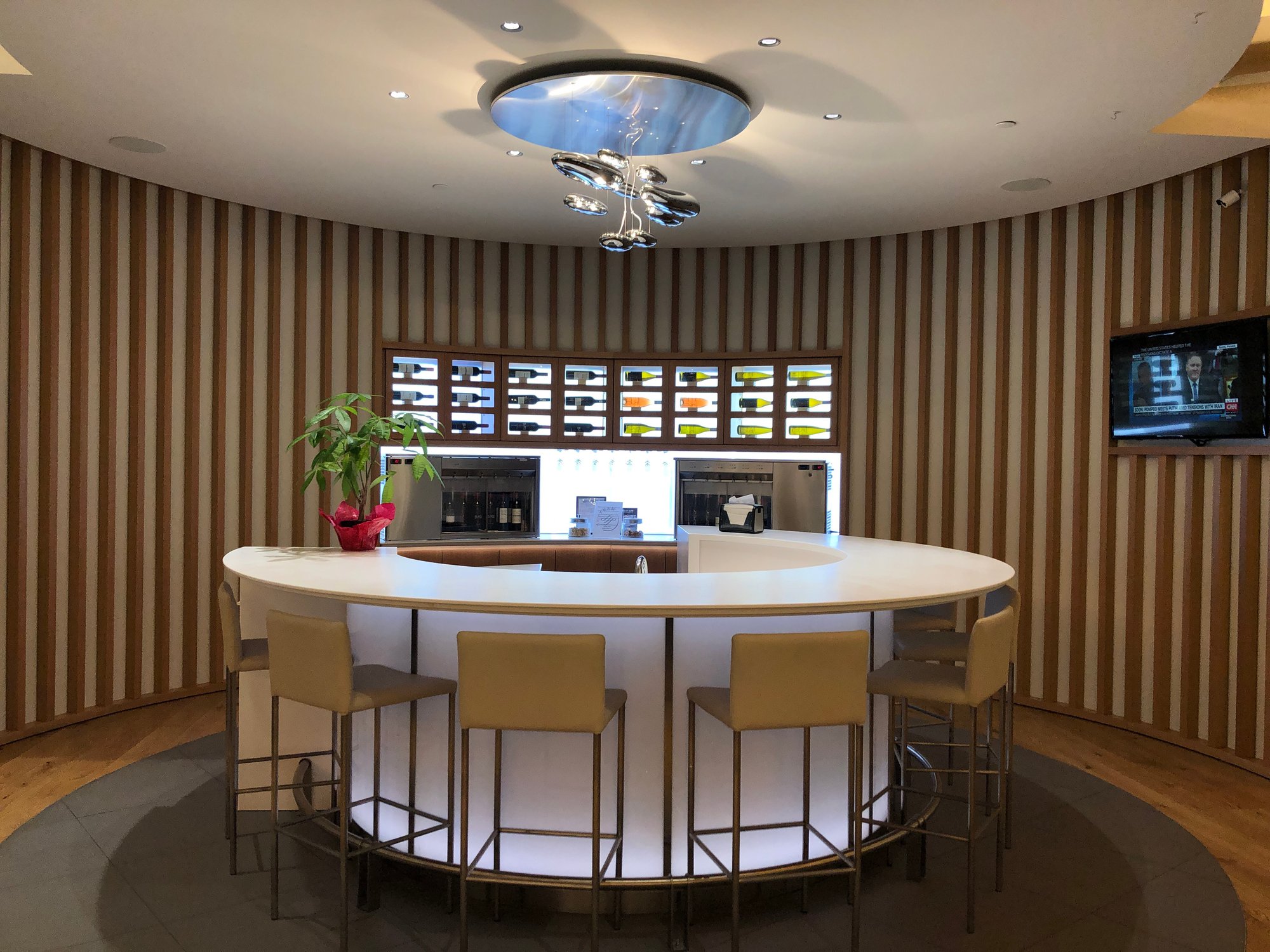 #2 of 5 images of SkyTeam Lounge