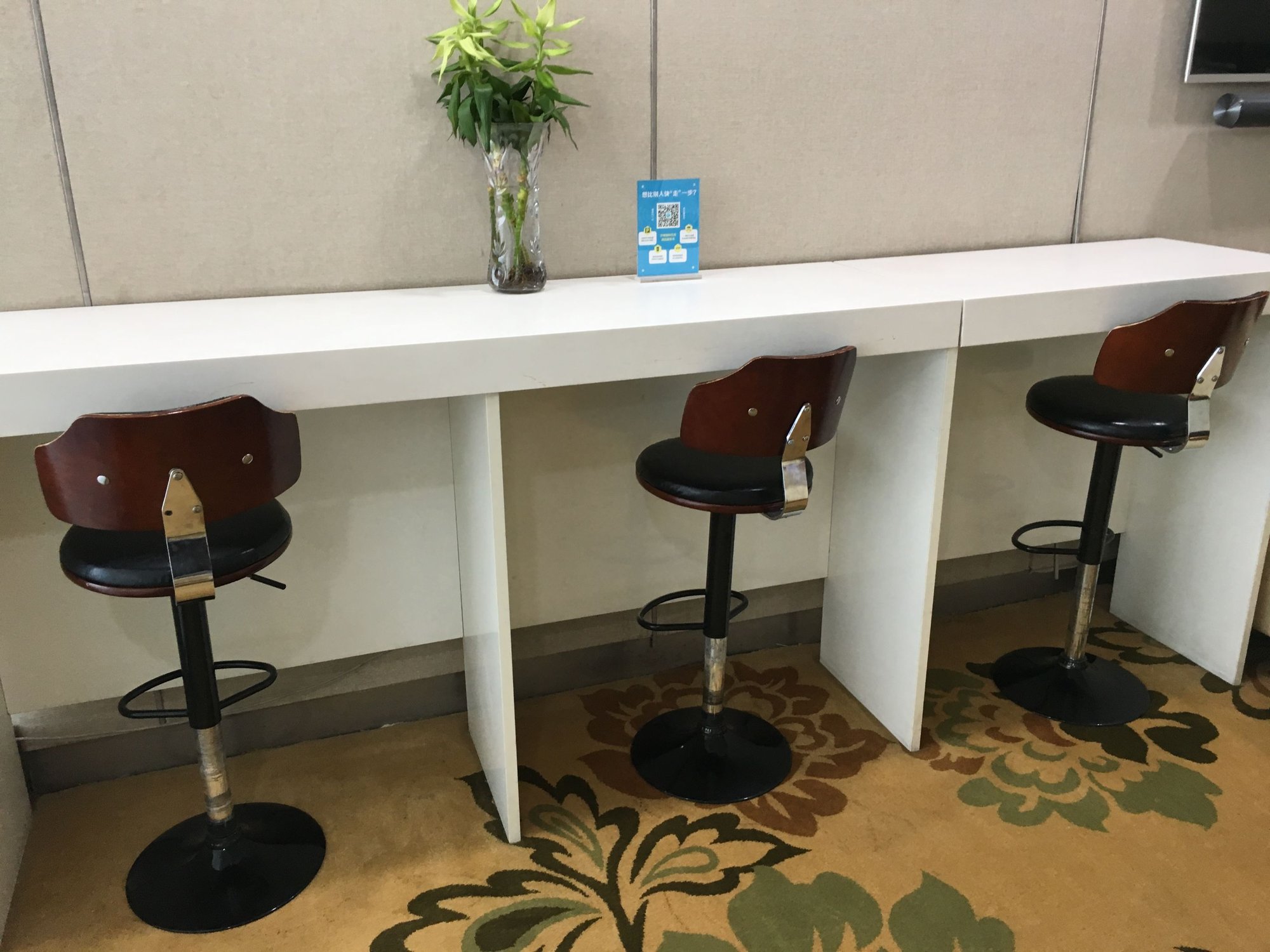 #3 of 5 images of First Class Lounge 5
