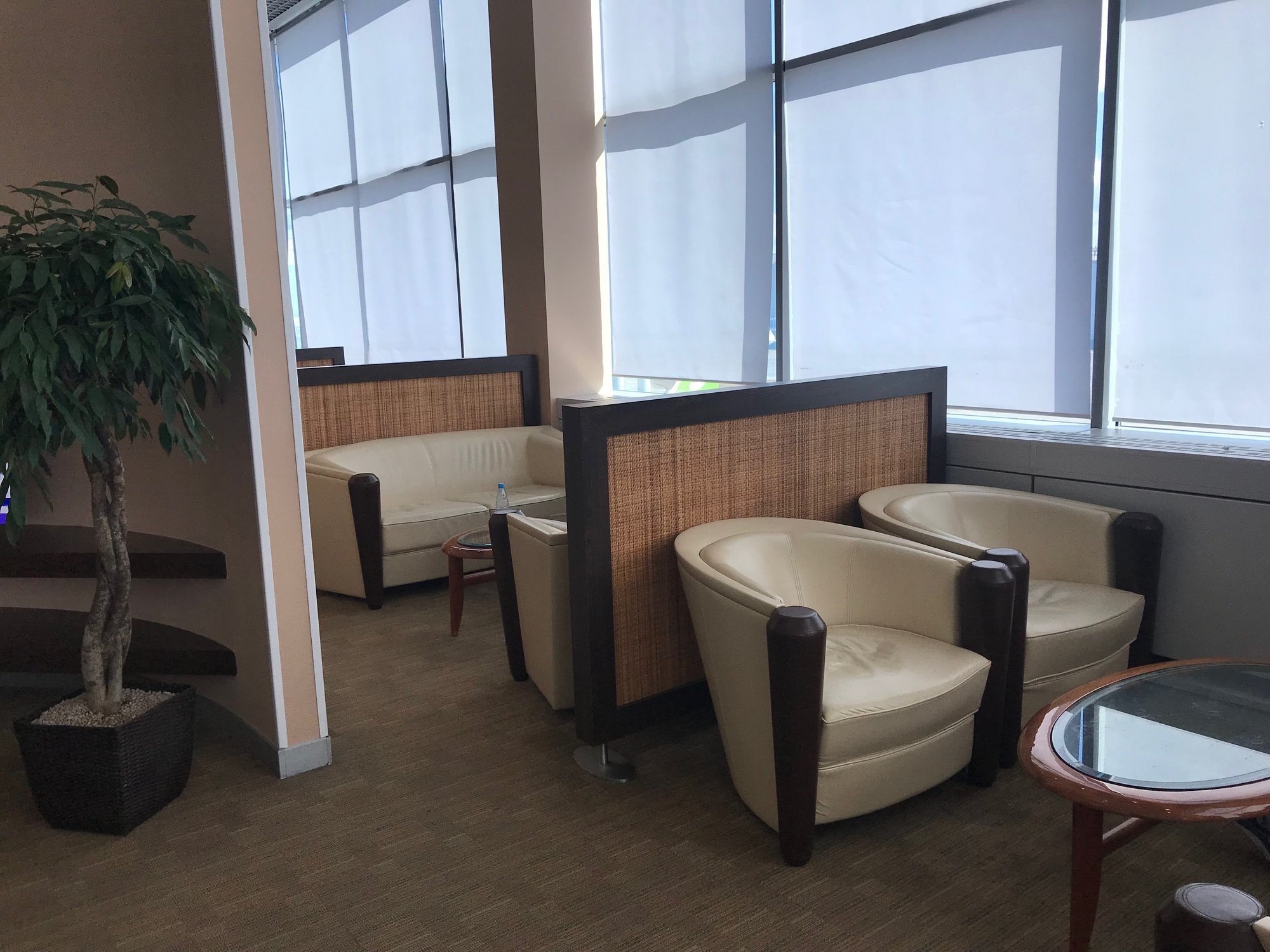 #3 of 5 images of Domestic Business Lounge